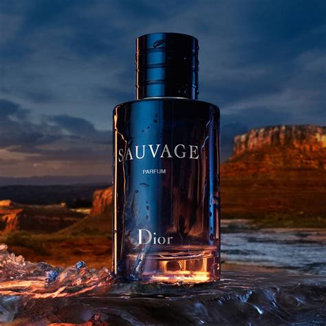 dior sauvage 100 ml sale|best price sauvage 100ml aftershave.